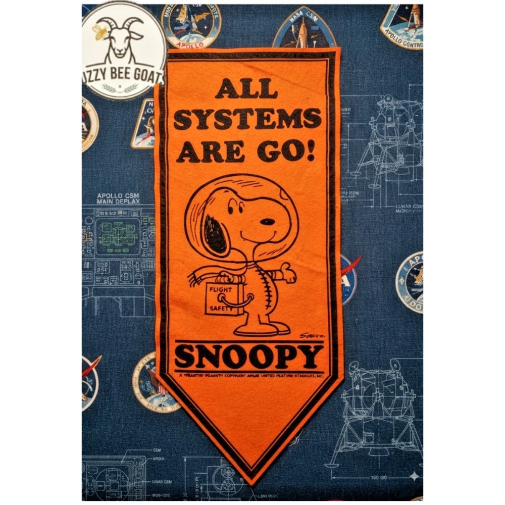 Felt Banner, Peanuts Snoopy 'AllSystems Are Go' NASA Apollo-eraPennant